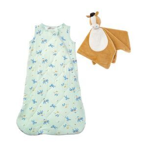 Shabby Chic Boys  2Pc Bamboo Printed Sleepbag Sec, Blue